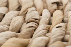 Flamant Alnwick, Kruk, Reed