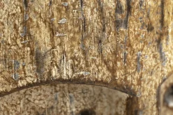 Flamant Anano, Masker, Te Voet