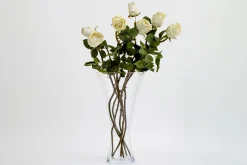 Flamant Belluno, Vaas, Glas, L