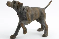 Flamant Blakeley, Hond