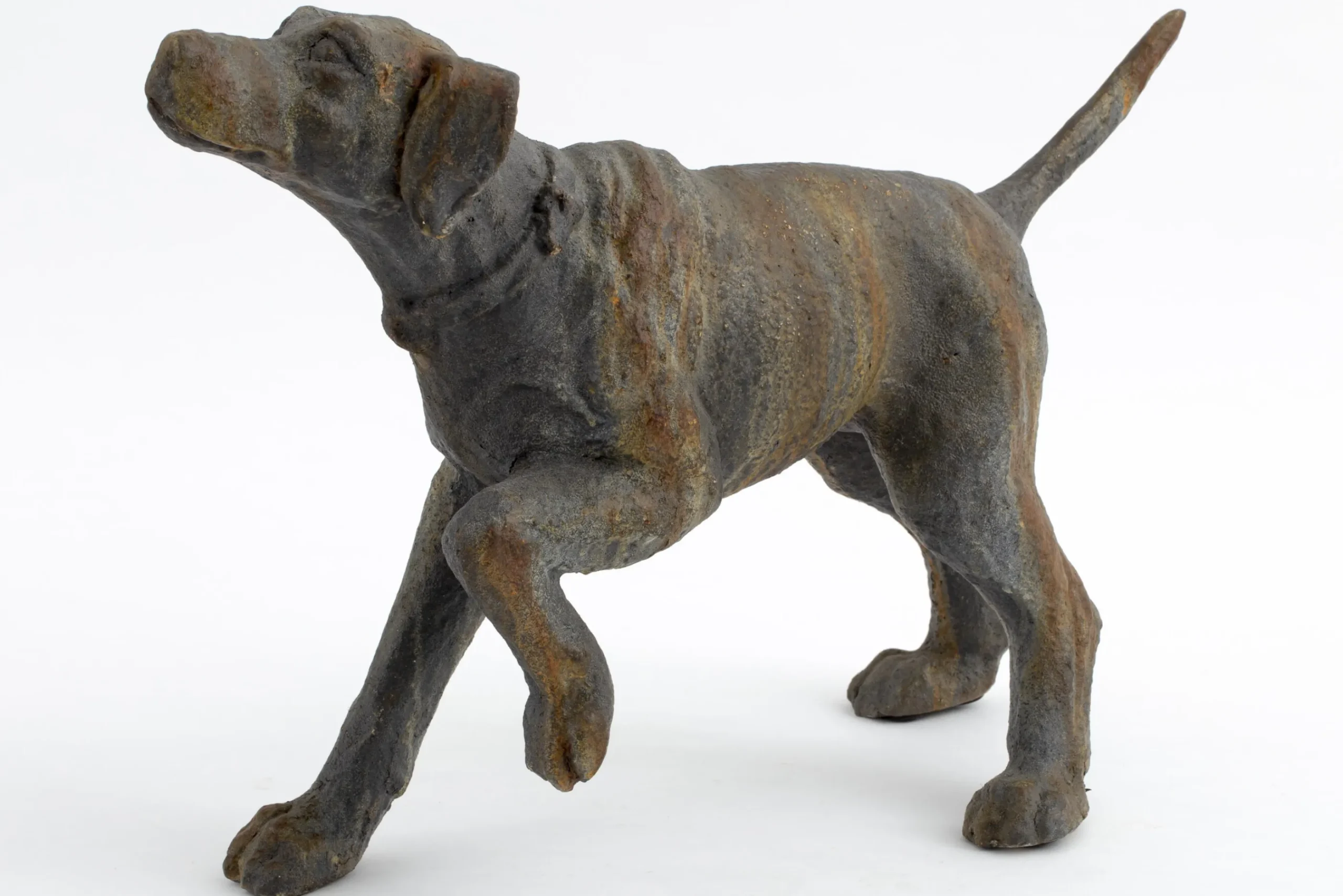 Flamant Blakeley, Hond