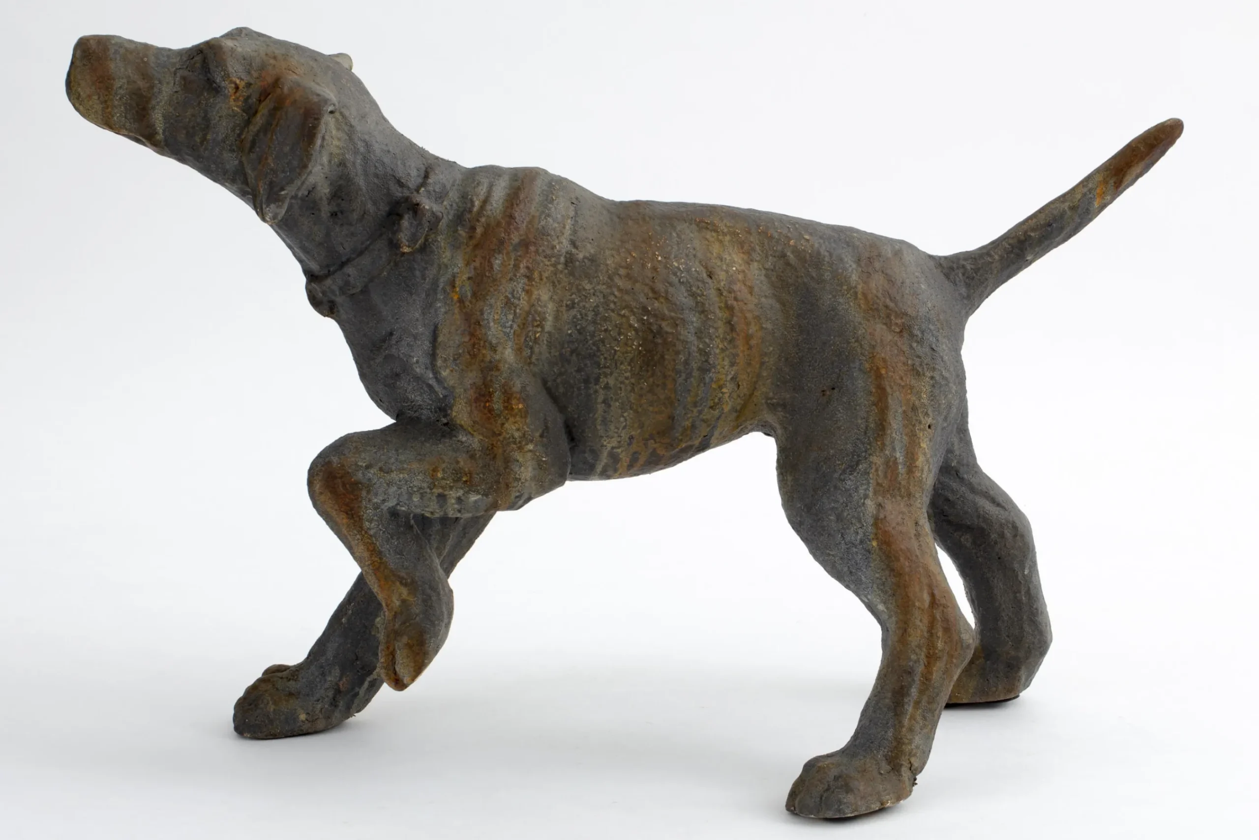 Flamant Blakeley, Hond