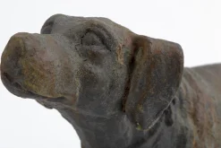 Flamant Blakeley, Hond