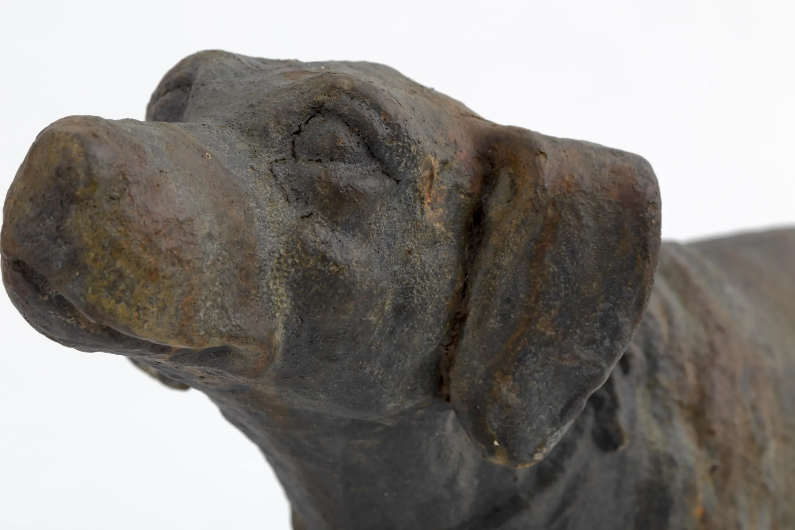 Flamant Blakeley, Hond