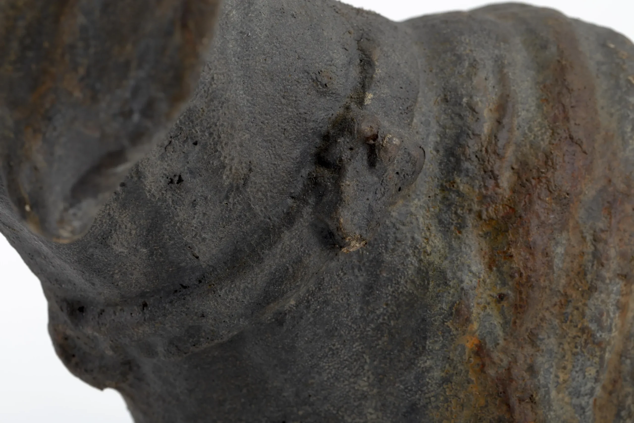 Flamant Blakeley, Hond