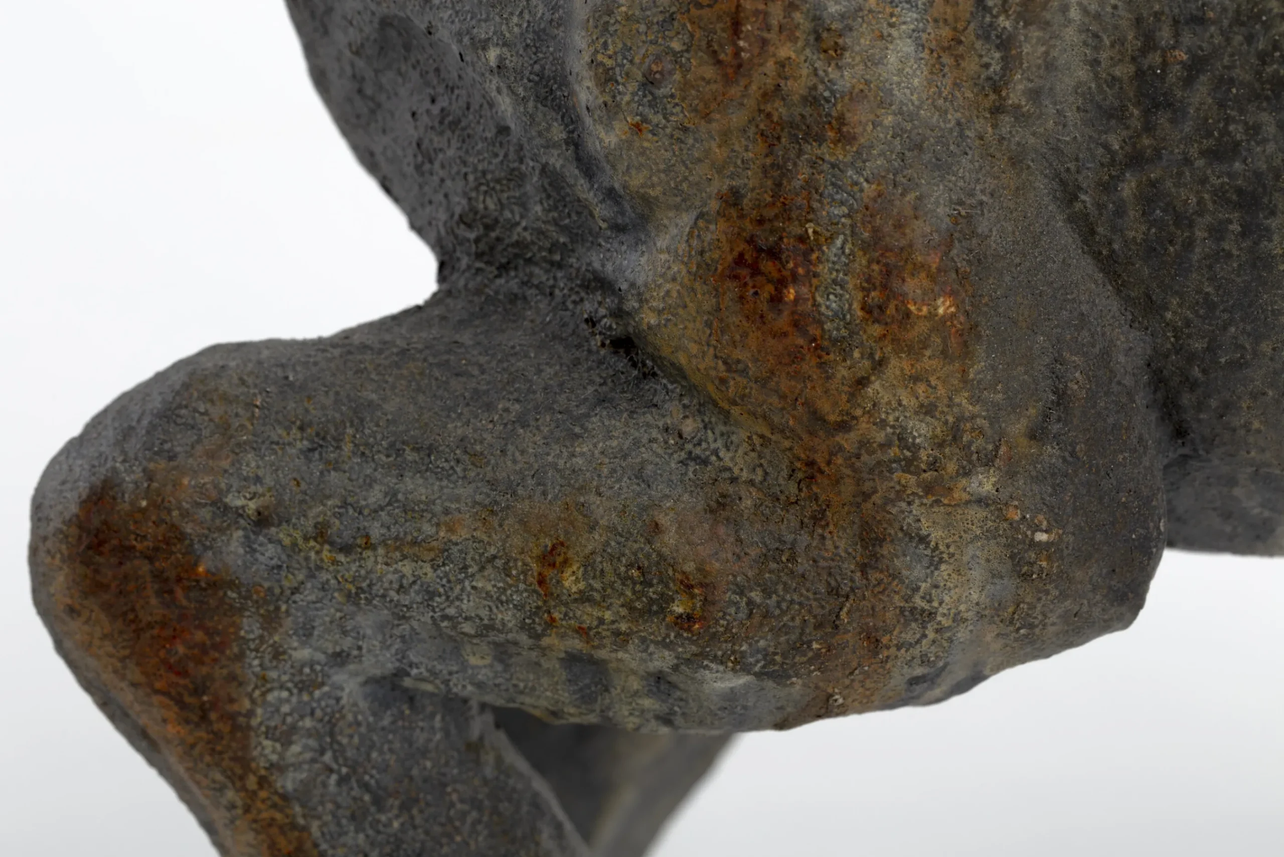 Flamant Blakeley, Hond