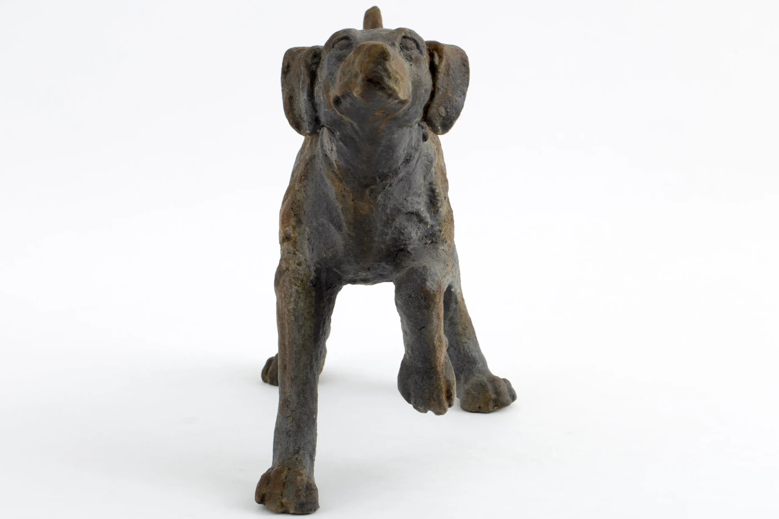 Flamant Blakeley, Hond