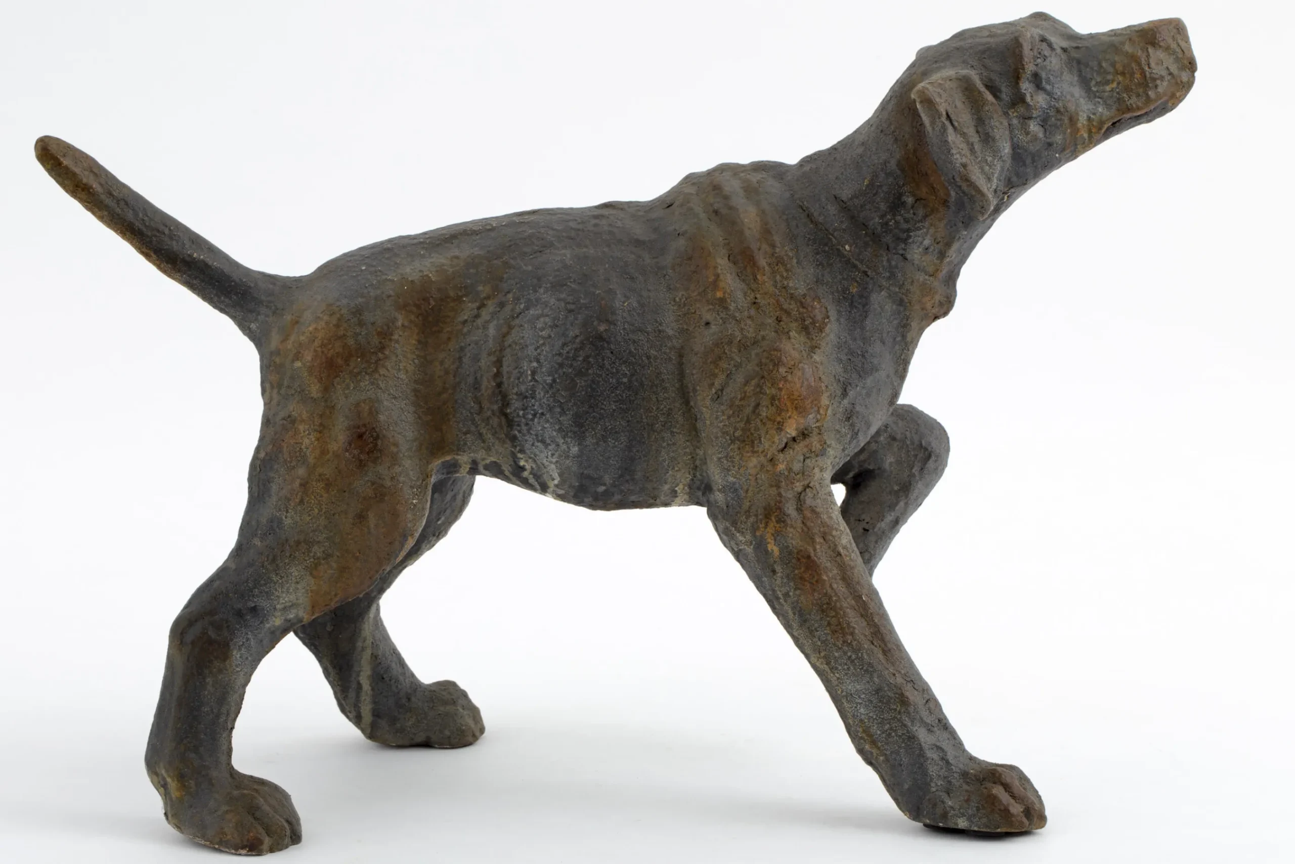 Flamant Blakeley, Hond