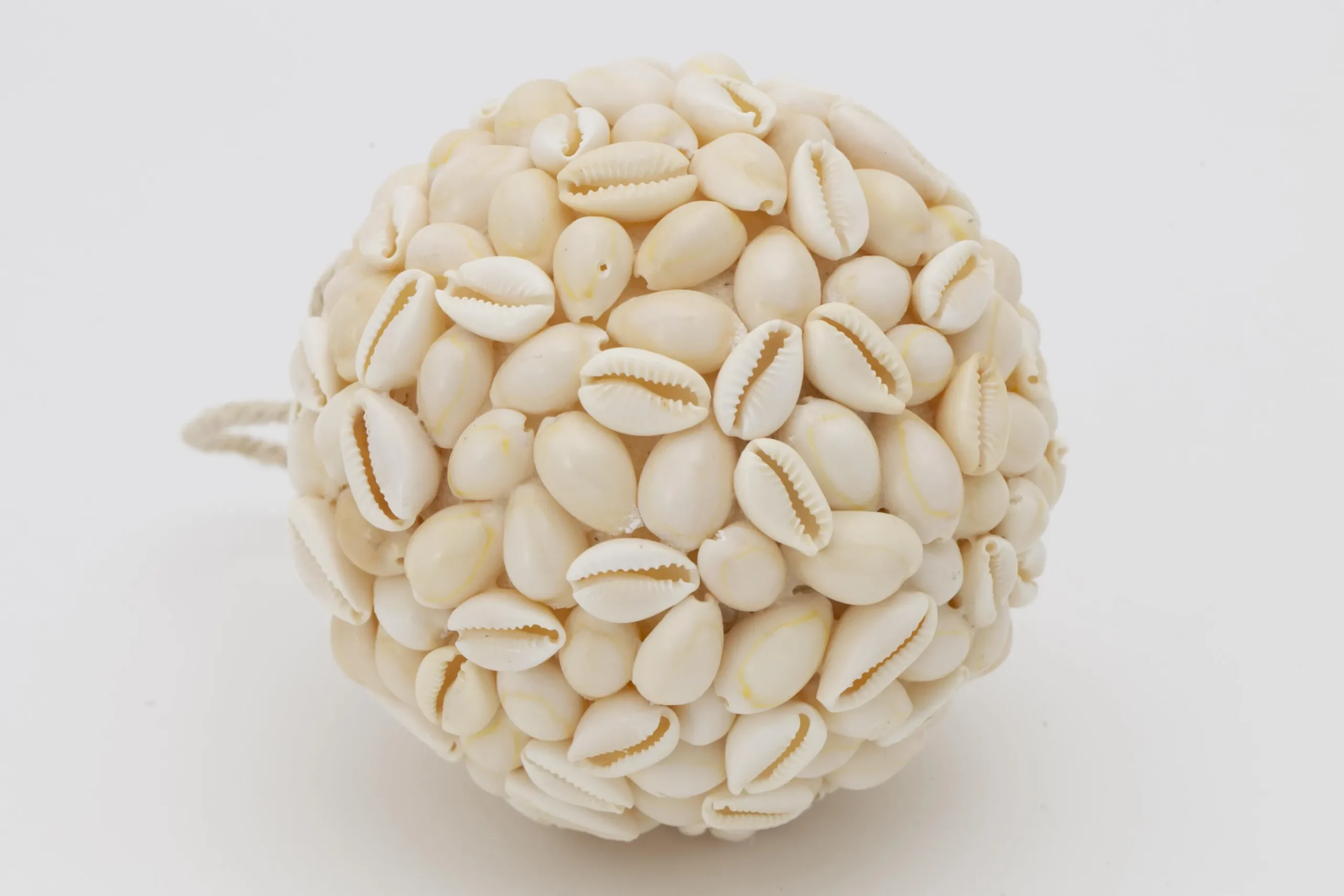 Flamant Cass, Decobal, L