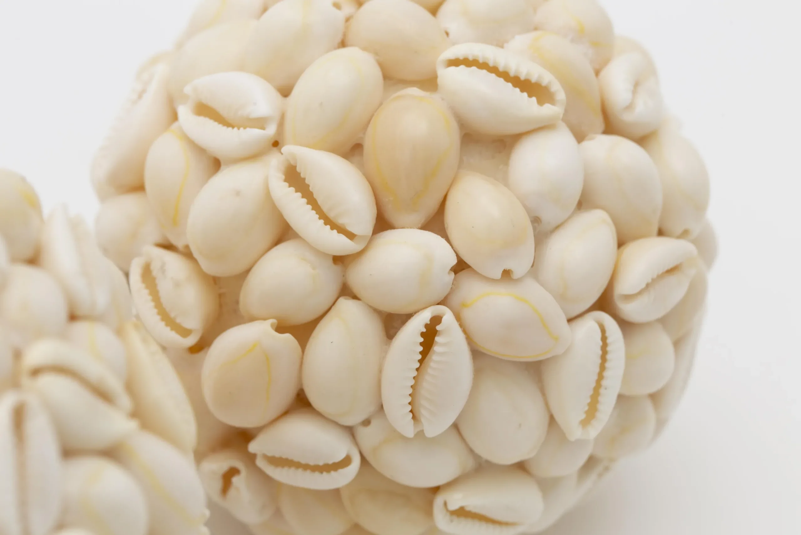 Flamant Cass, Decobal, L