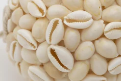 Flamant Cass, Decobal, L