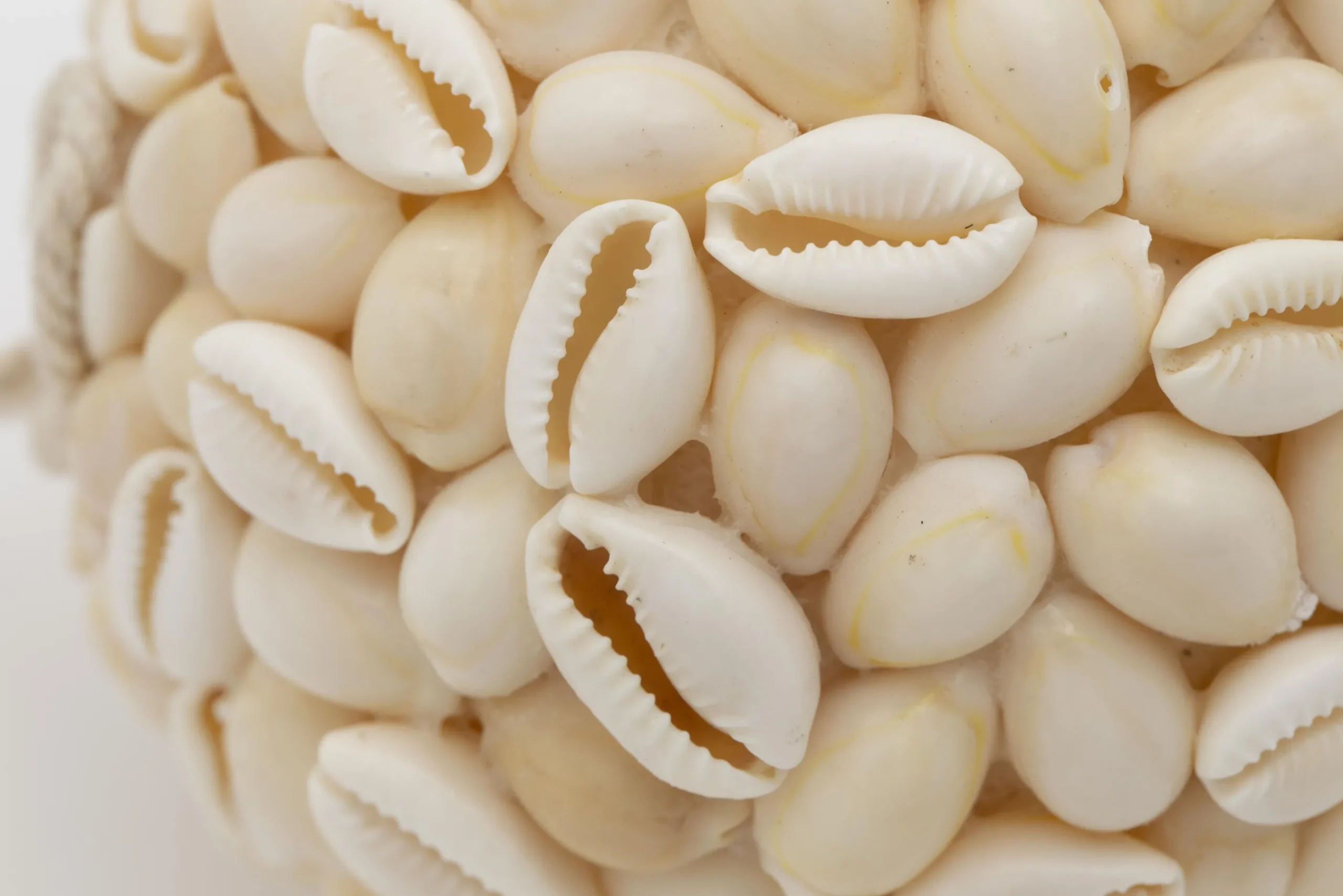 Flamant Cass, Decobal, L