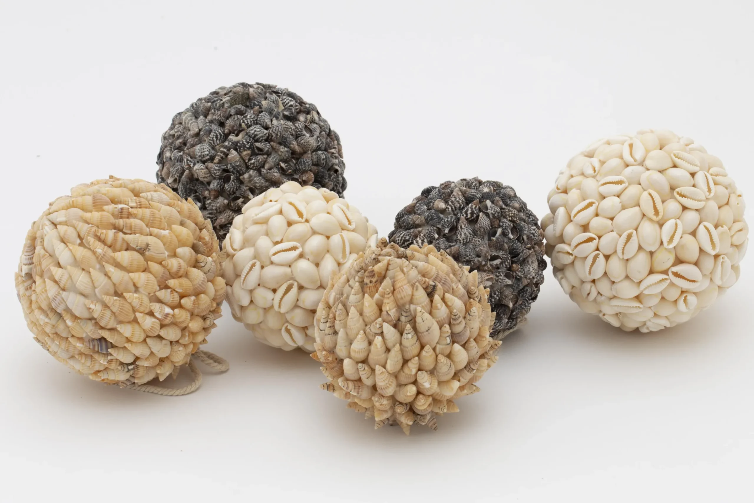 Flamant Cass, Decobal, L