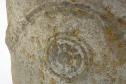 Flamant Ceanu, Planter, L