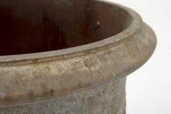 Flamant Ceanu, Planter, L