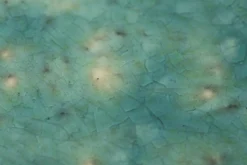 Flamant Cresta, Serveerschaal, Keramiek, Turkoois, Rond, 37 Cm