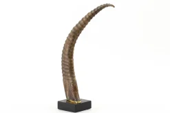 Flamant Dakkapel, Deco, Hoorn