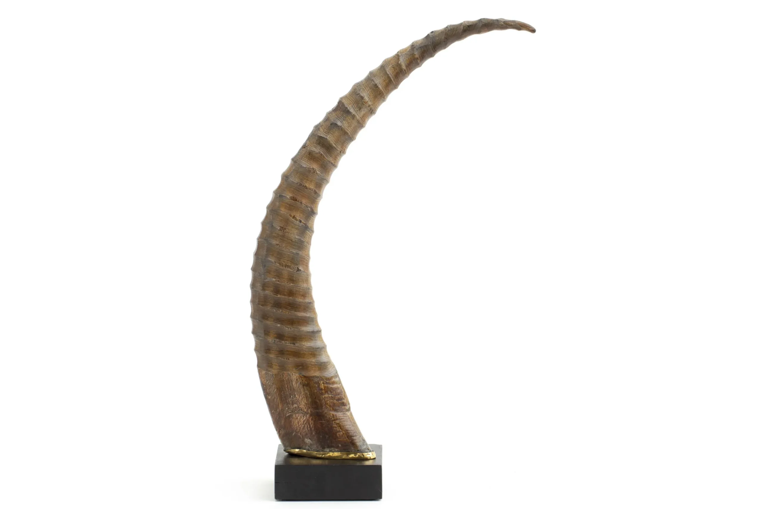 Flamant Dakkapel, Deco, Hoorn