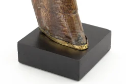 Flamant Dakkapel, Deco, Hoorn