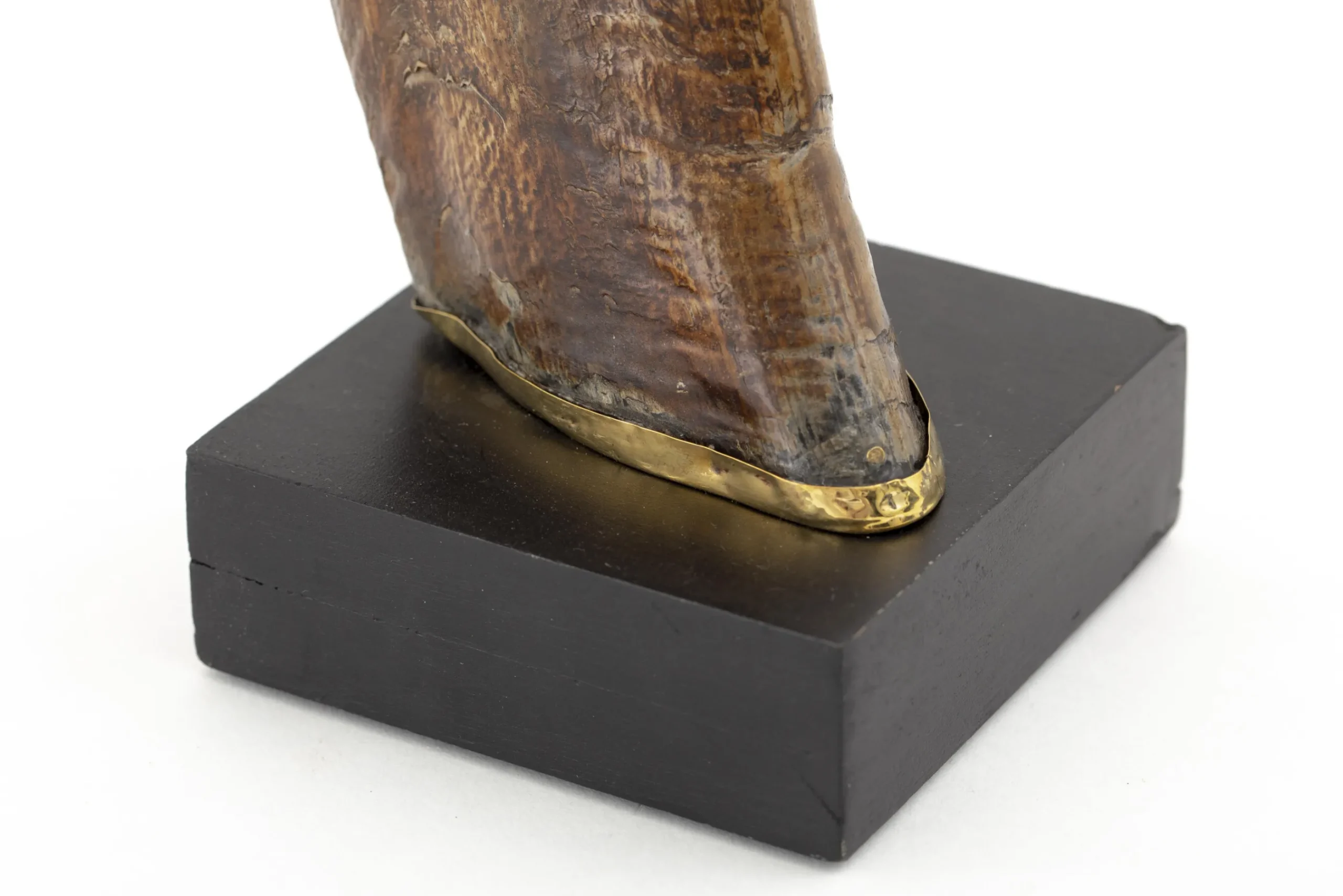 Flamant Dakkapel, Deco, Hoorn