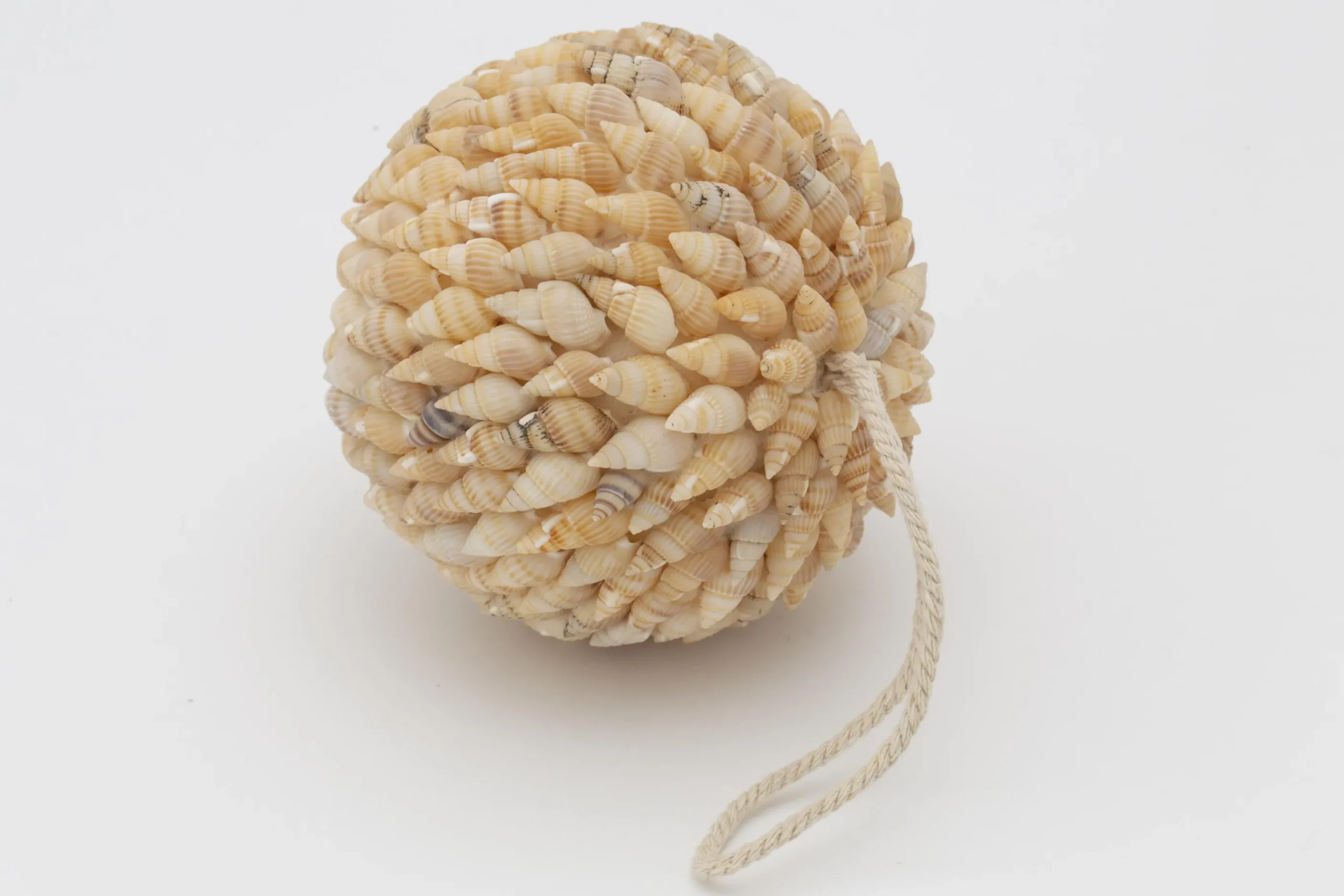 Flamant Darcio, Decobal, L