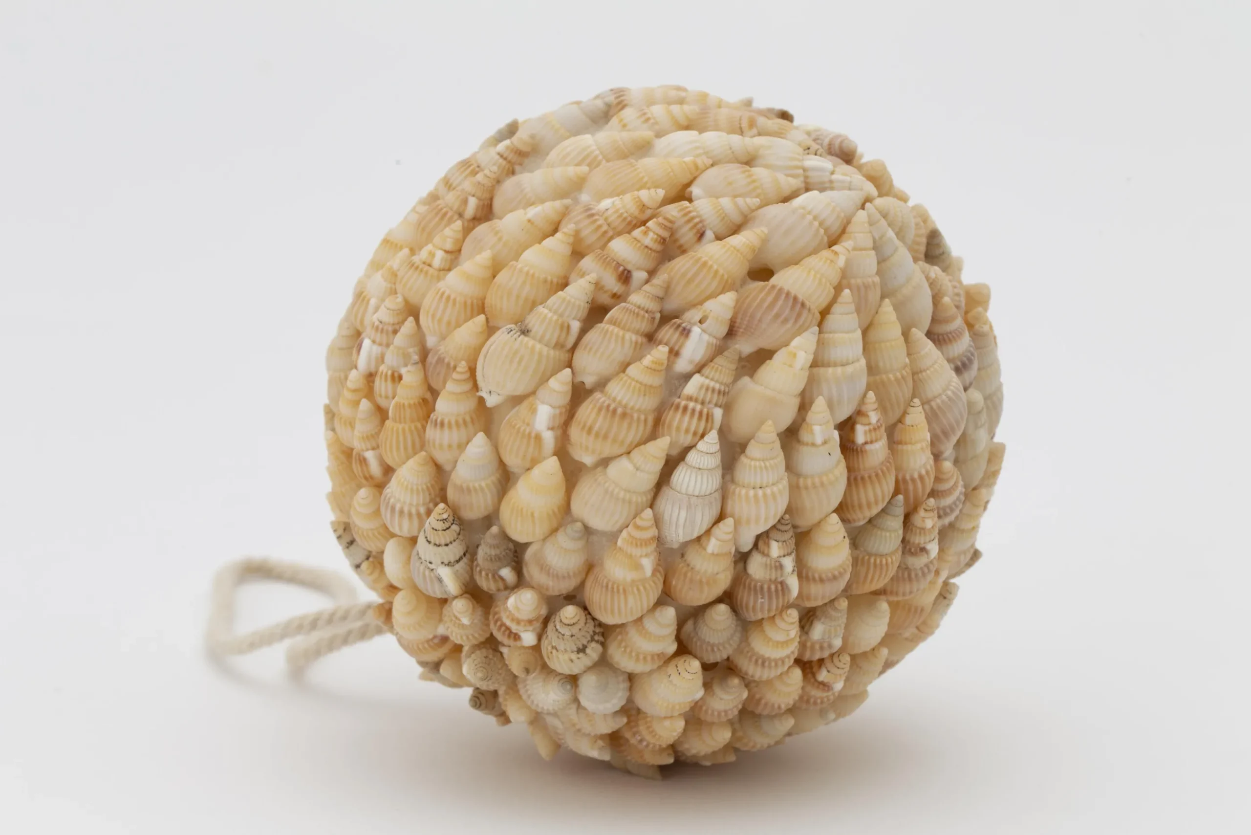 Flamant Darcio, Decobal, L