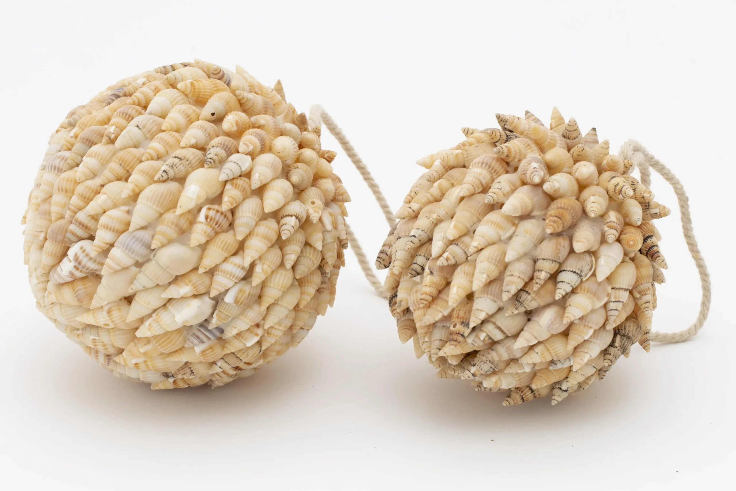 Flamant Darcio, Decobal, L