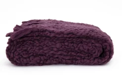 Flamant Einstein, Geruit, Paars