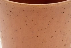 Flamant Gregg, Plantenbak, Roest, Met Schotel, S