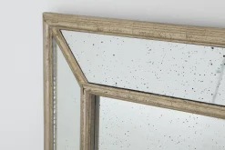 Flamant Hariuz, Spiegel