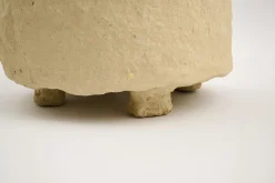 Flamant Iverna, Pot, S