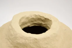 Flamant Iverna, Pot, S