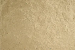 Flamant Iverna, Pot, S