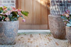 Flamant Kronob, Planter, L