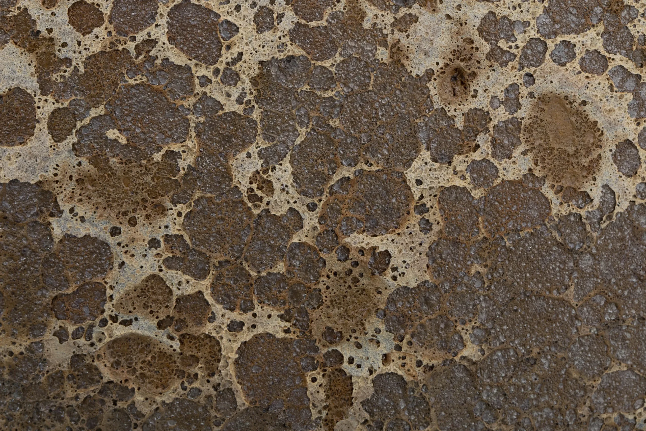 Flamant Kronob, Planter, L