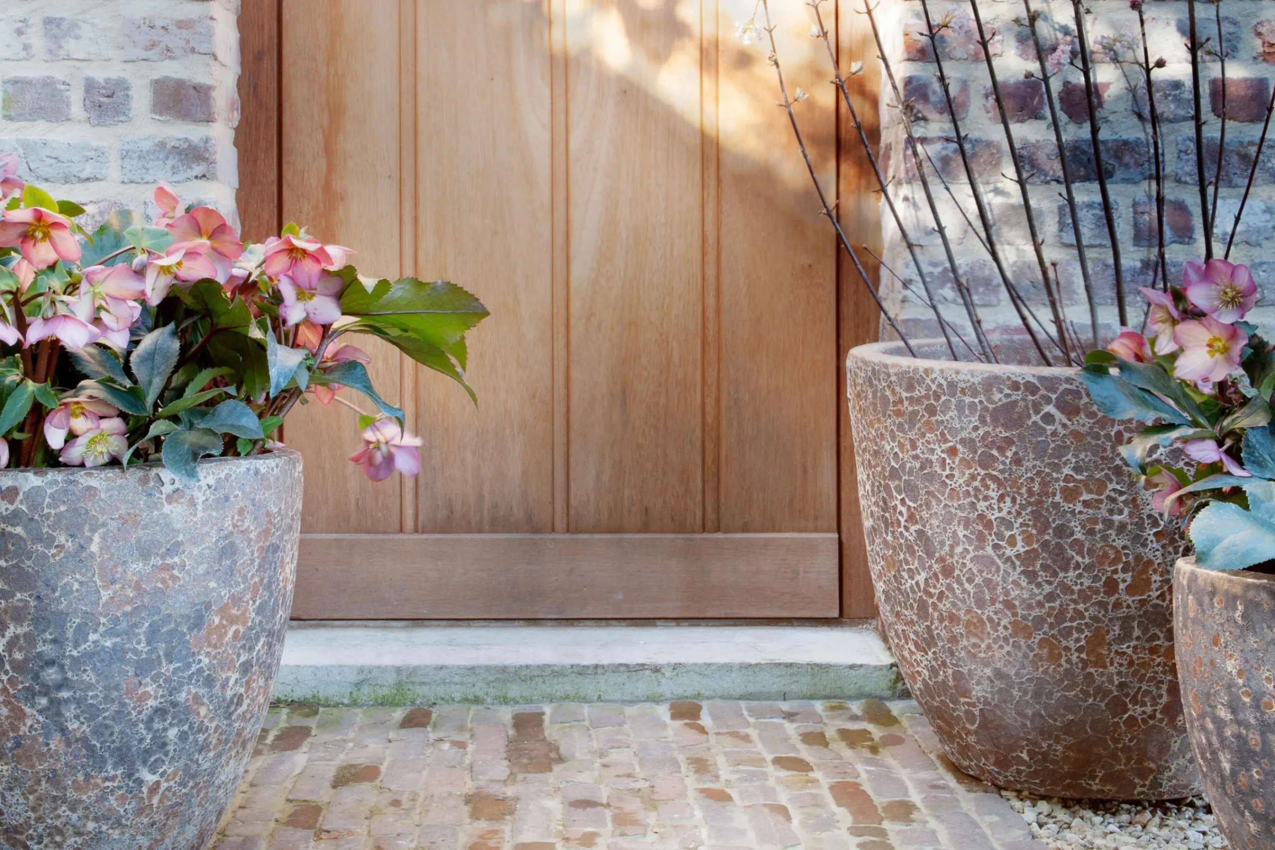 Flamant Kronob, Planter, M