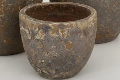 Flamant Kronob, Planter, M