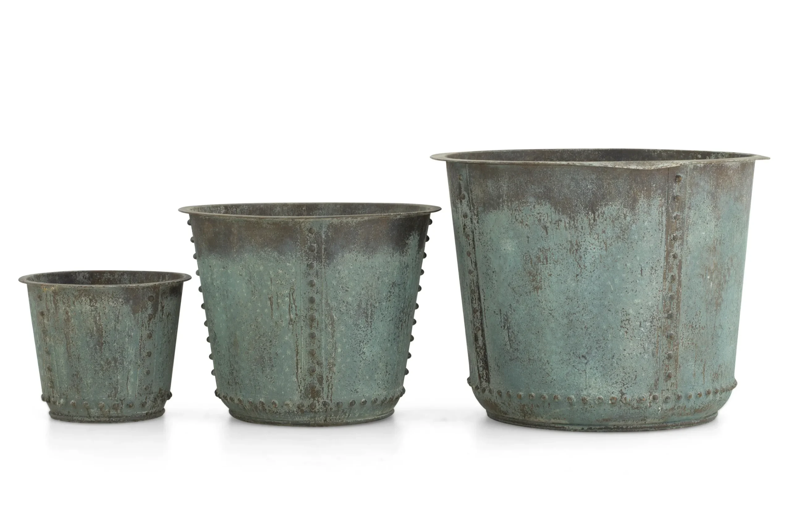 Flamant Manoli, Planter, L