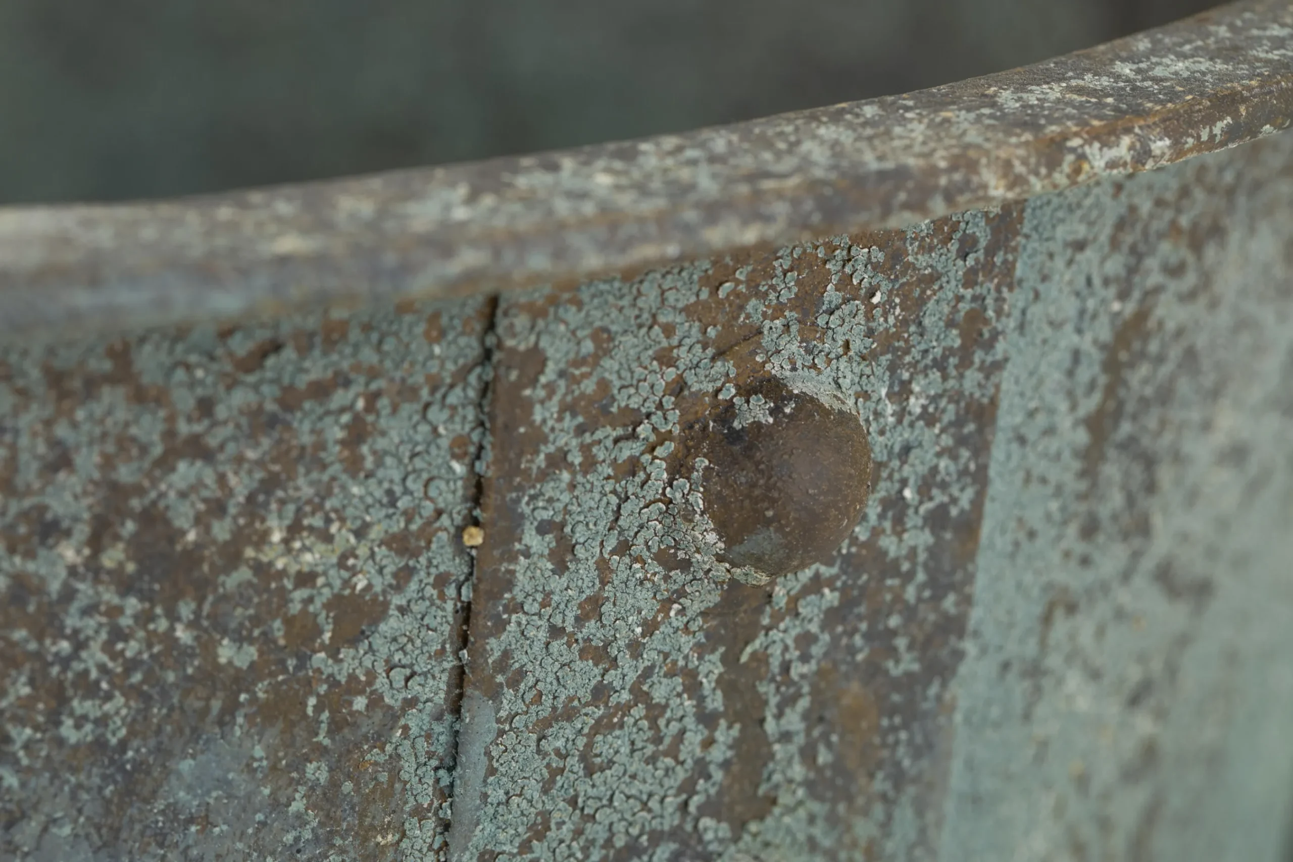 Flamant Manoli, Planter, M