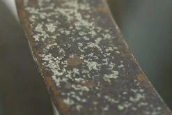 Flamant Manoli, Planter, S