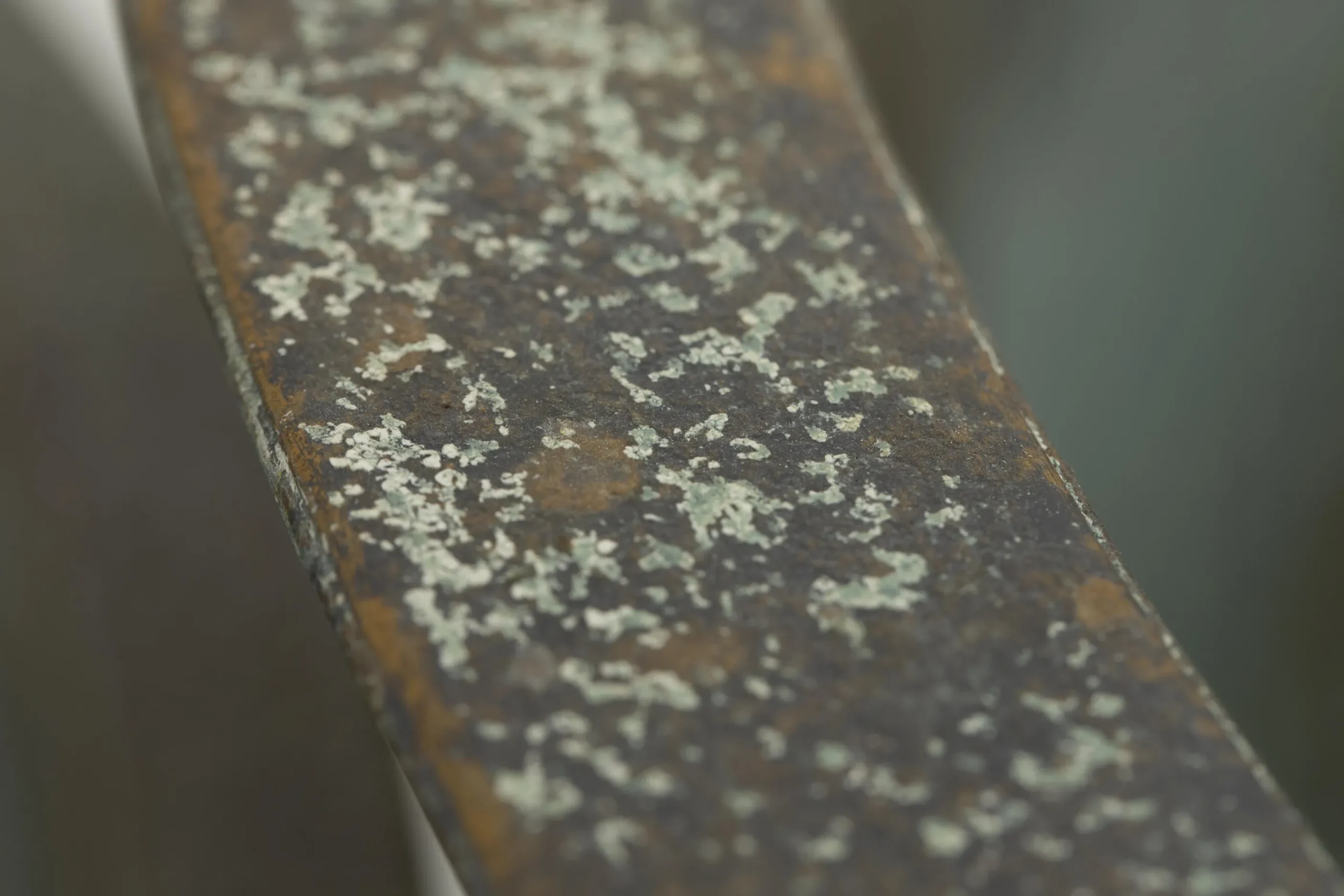 Flamant Manoli, Planter, S