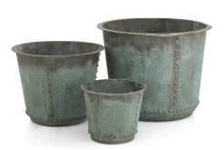 Flamant Manoli, Planter, S