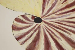 Flamant Maskorra, Kom, Schelp