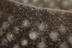 Flamant Max, Windlicht, Glas, S