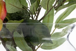 Flamant Mirac, Vaas, Glas, H30