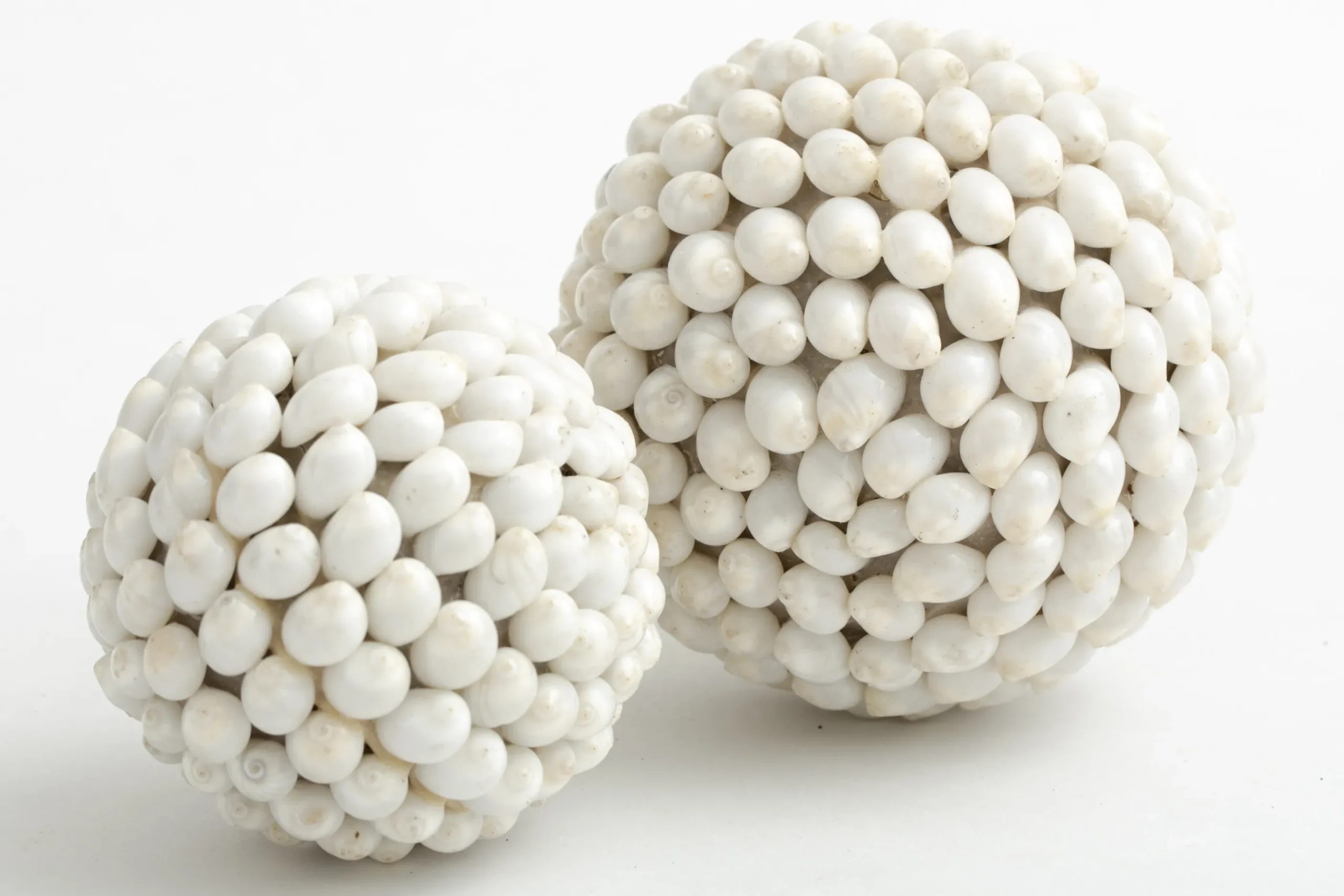 Flamant Nalani, Decobal, L