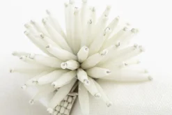 Flamant Parton, Servetring, Kralen