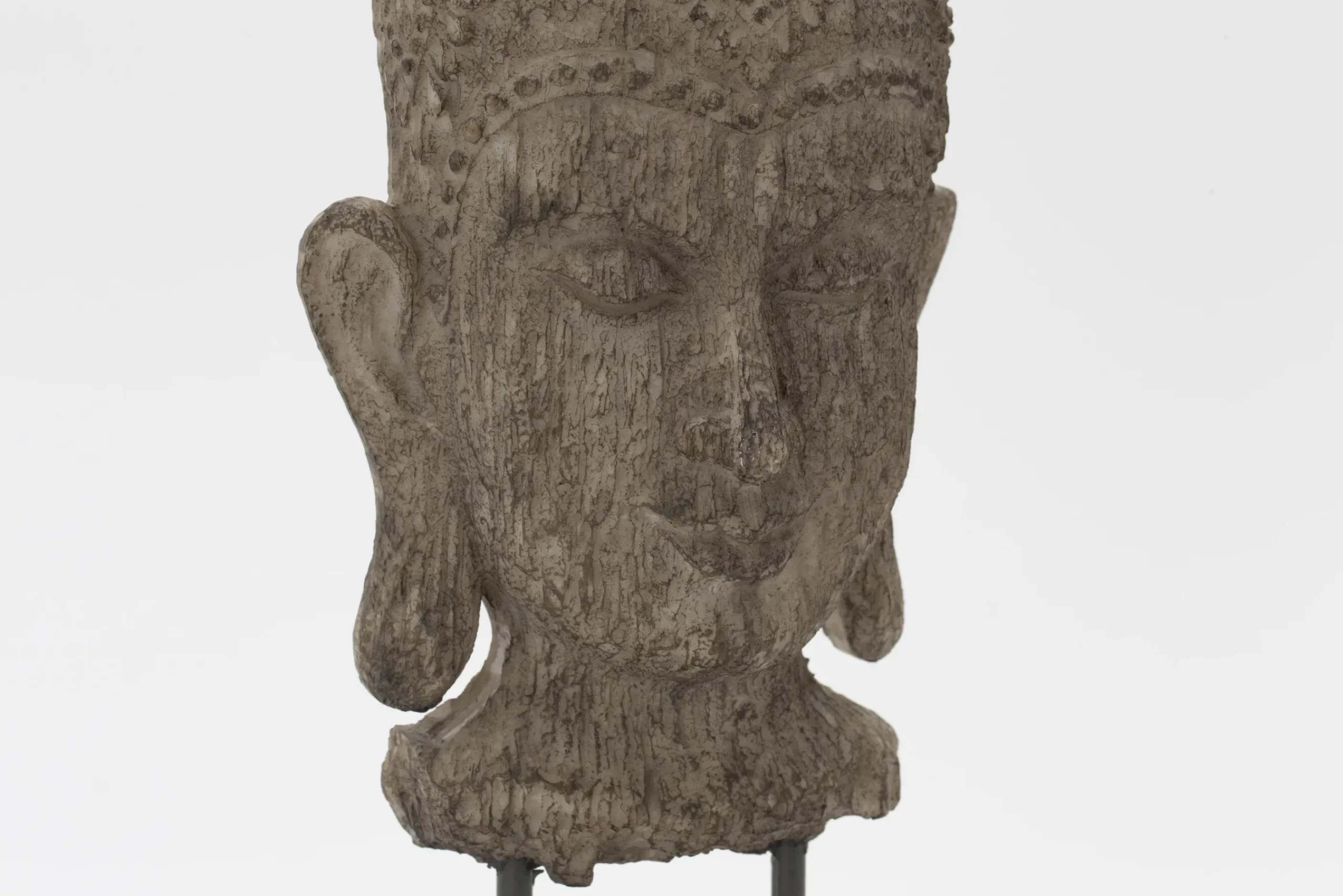 Flamant Saras, Hoofd