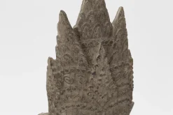 Flamant Saras, Hoofd