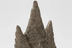 Flamant Saras, Hoofd